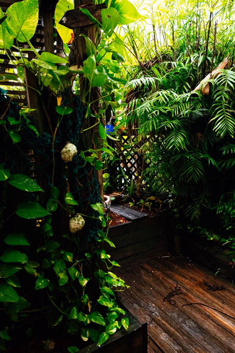 Yard waste gathered for pickup from a Fort Lauderdale backyard